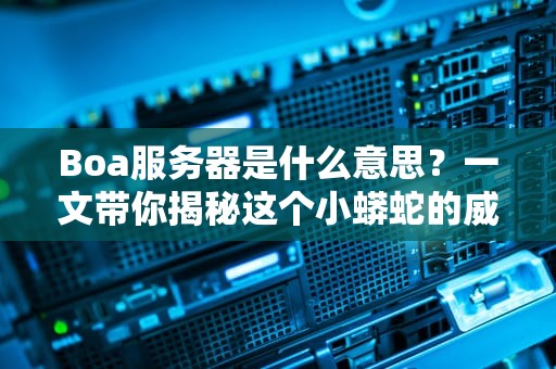Boa服务器是什么意思？一文带你揭秘这个小蟒蛇的威力！