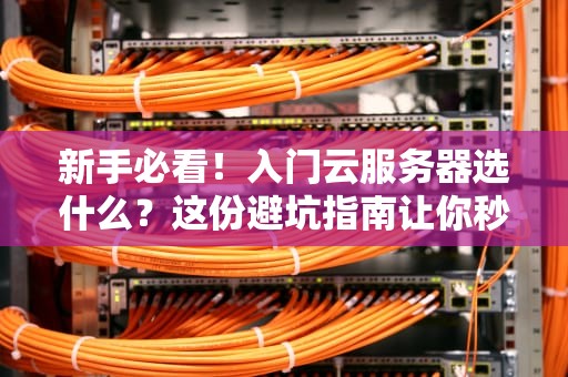 新手必看！入门云服务器选什么？这份避坑指南让你秒变老司机