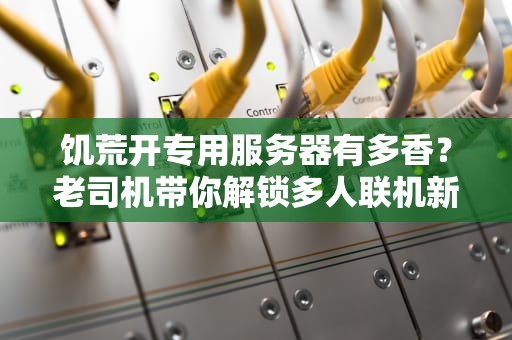 饥荒开专用服务器有多香？老司机带你解锁多人联机新姿势！