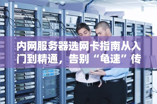 内网服务器选网卡指南从入门到精通，告别“龟速”传输！