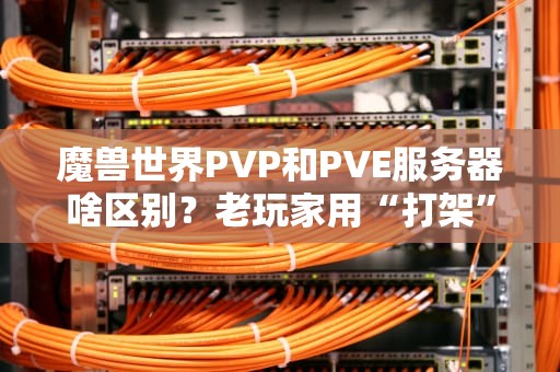 魔兽世界PVP和PVE服务器啥区别？老玩家用“打架”和“打本”给你讲透！