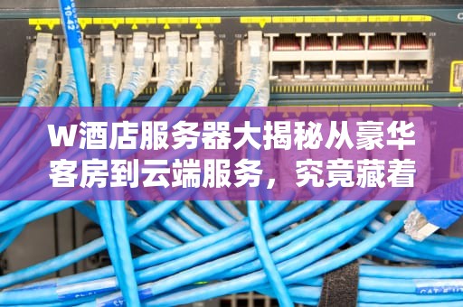 W酒店服务器大揭秘从豪华客房到云端服务，究竟藏着什么黑科技？