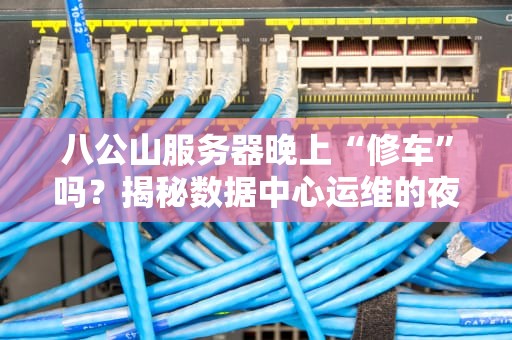 八公山服务器晚上“修车”吗？揭秘数据中心运维的夜生活！
