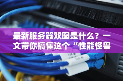 最新服务器双图是什么？一文带你搞懂这个“性能怪兽”的秘密！