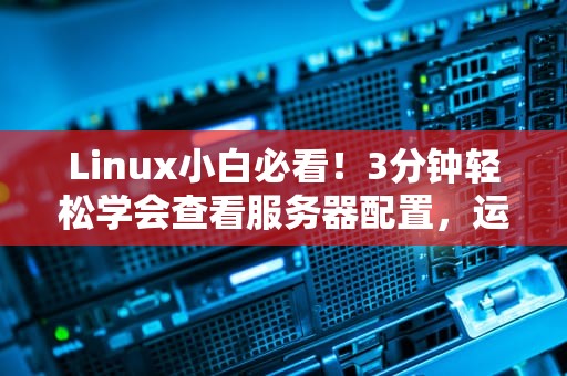 Linux小白必看！3分钟轻松学会查看服务器配置，运维大佬都直呼内行！
