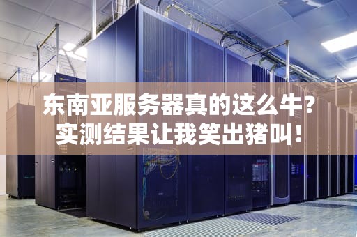 东南亚服务器真的这么牛？实测结果让我笑出猪叫！