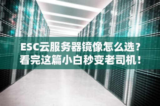 ESC云服务器镜像怎么选？看完这篇小白秒变老司机！