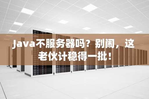 Java不服务器吗？别闹，这老伙计稳得一批！
