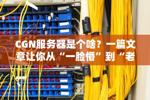 CGN服务器是个啥？一篇文章让你从“一脸懵”到“老司机”