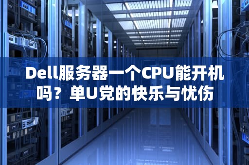 Dell服务器一个CPU能开机吗？单U党的快乐与忧伤