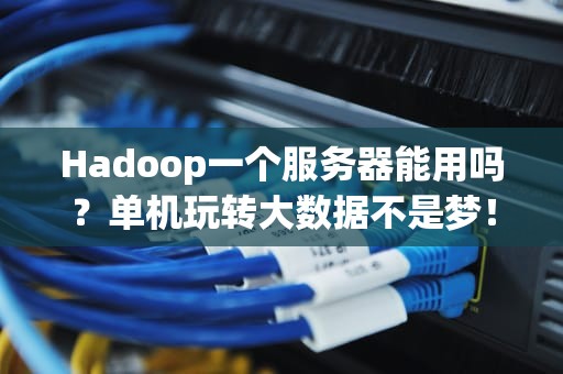 Hadoop一个服务器能用吗？单机玩转大数据不是梦！