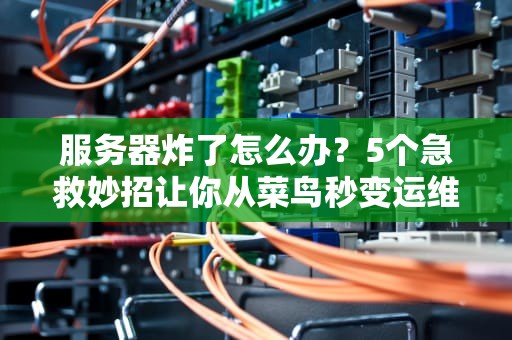 服务器炸了怎么办？5个急救妙招让你从菜鸟秒变运维大神！