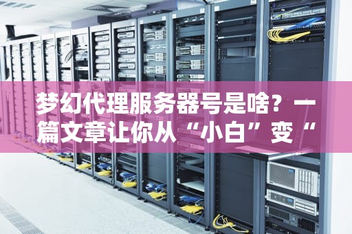 梦幻代理服务器号是啥？一篇文章让你从“小白”变“大神”！