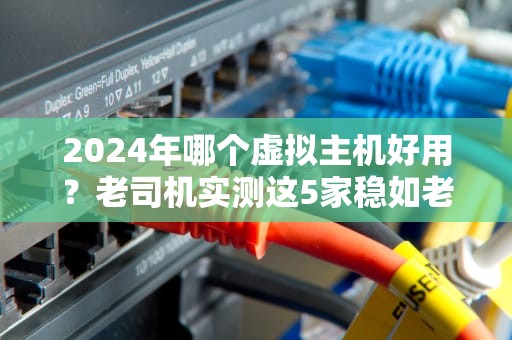 2024年哪个虚拟主机好用？老司机实测这5家稳如老狗！