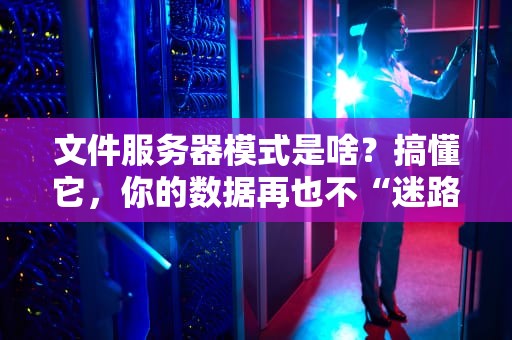 文件服务器模式是啥？搞懂它，你的数据再也不“迷路”！