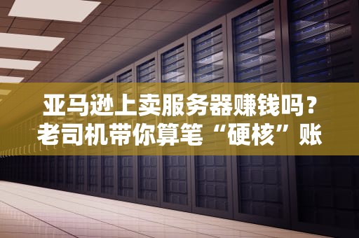 亚马逊上卖服务器赚钱吗？老司机带你算笔“硬核”账！