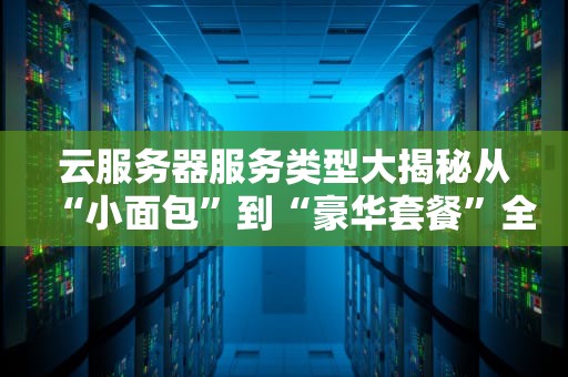 云服务器服务类型大揭秘从“小面包”到“豪华套餐”全解析！