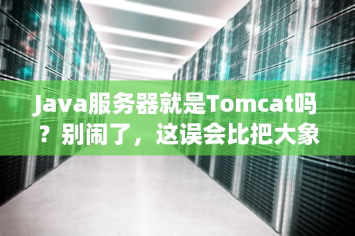 Java服务器就是Tomcat吗？别闹了，这误会比把大象装冰箱还离谱！