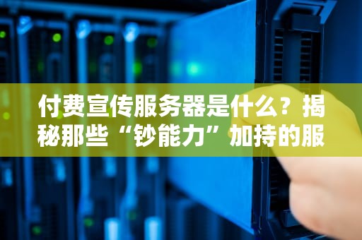 付费宣传服务器是什么？揭秘那些“钞能力”加持的服务器真相！