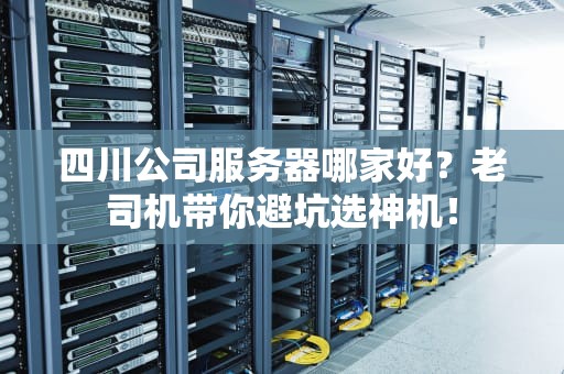 四川公司服务器哪家好？老司机带你避坑选神机！