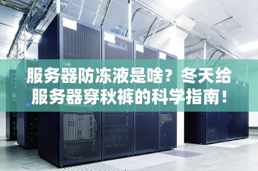 服务器防冻液是啥？冬天给服务器穿秋裤的科学指南！