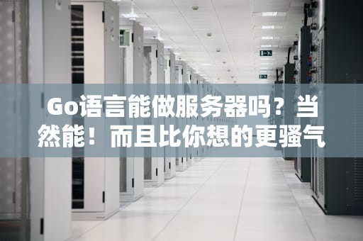 Go语言能做服务器吗？当然能！而且比你想的更骚气！