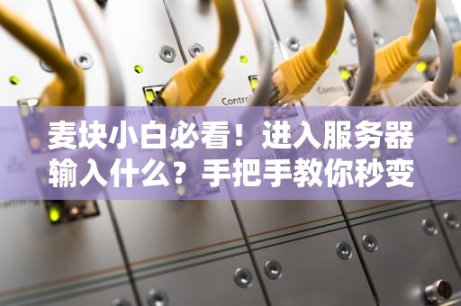 麦块小白必看！进入服务器输入什么？手把手教你秒变老司机