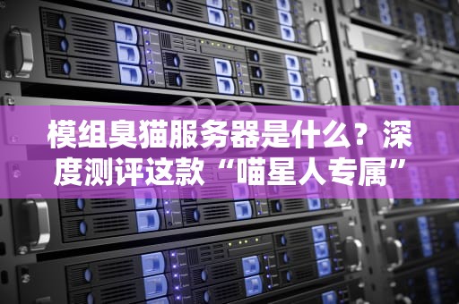 模组臭猫服务器是什么？深度测评这款“喵星人专属”的Minecraft服务器！