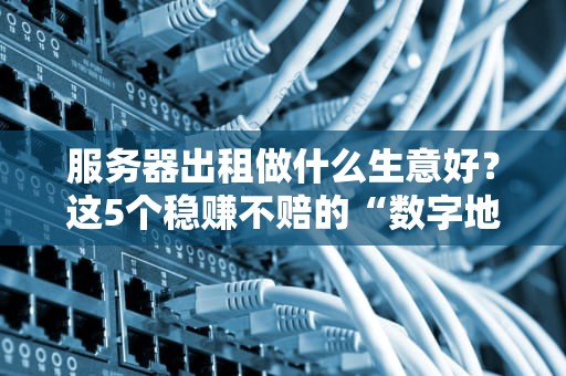 服务器出租做什么生意好？这5个稳赚不赔的“数字地基”项目揭秘！