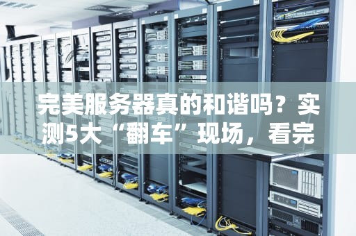 完美服务器真的和谐吗？实测5大“翻车”现场，看完笑出腹肌！