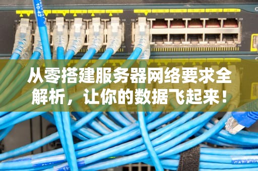 从零搭建服务器网络要求全解析，让你的数据飞起来！