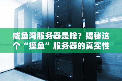 咸鱼湾服务器是啥？揭秘这个“摸鱼”服务器的真实性能！