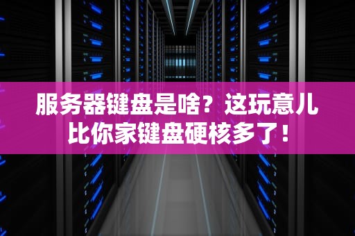服务器键盘是啥？这玩意儿比你家键盘硬核多了！