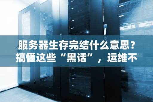 服务器生存完结什么意思？搞懂这些“黑话”，运维不翻车！