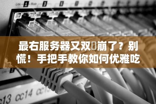 最右服务器又双叒崩了？别慌！手把手教你如何优雅吃瓜+专业测评