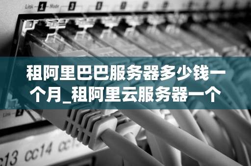 租阿里巴巴服务器多少钱一个月_租阿里云服务器一个月租多少钱_租阿里巴巴服务器多少钱一个月？