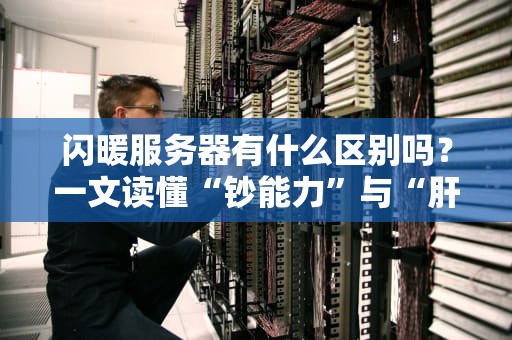 闪暖服务器有什么区别吗？一文读懂“钞能力”与“肝度”的终极博弈！