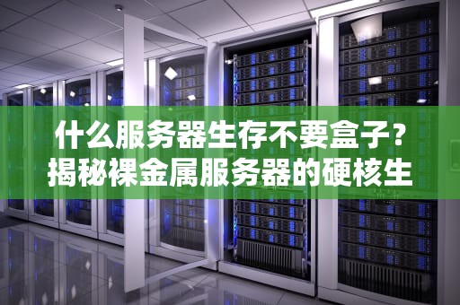 什么服务器生存不要盒子？揭秘裸金属服务器的硬核生存法则！