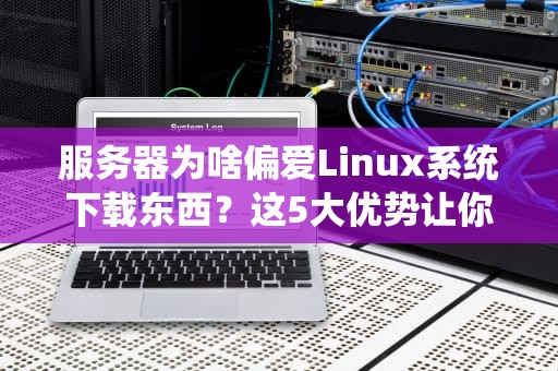 服务器为啥偏爱Linux系统下载东西？这5大优势让你秒懂！