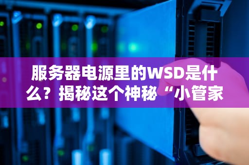 服务器电源里的WSD是什么？揭秘这个神秘“小管家”的硬核作用！