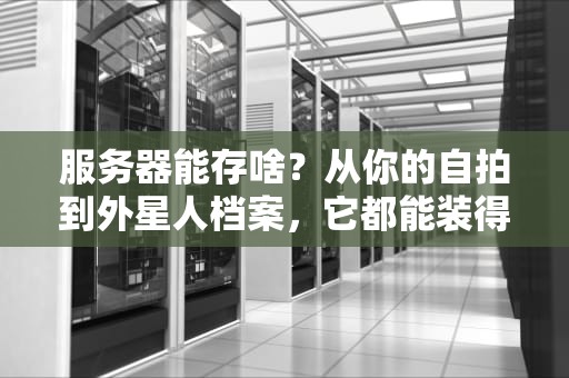 服务器能存啥？从你的自拍到外星人档案，它都能装得下！