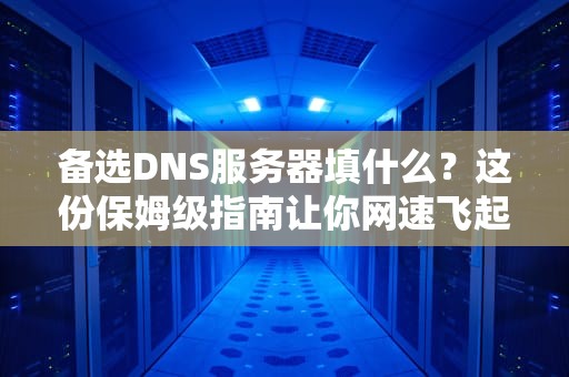 备选DNS服务器填什么？这份保姆级指南让你网速飞起！