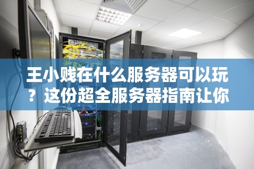 王小贱在什么服务器可以玩？这份超全服务器指南让你嗨翻天！