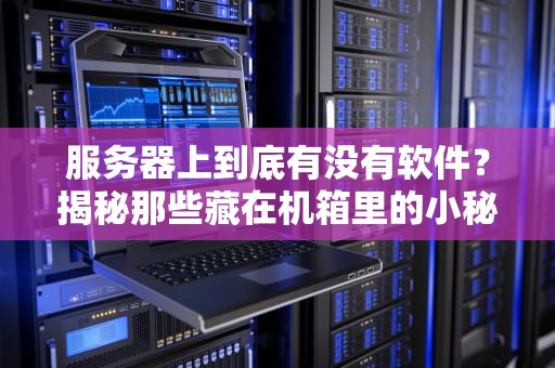 服务器上到底有没有软件？揭秘那些藏在机箱里的小秘密！