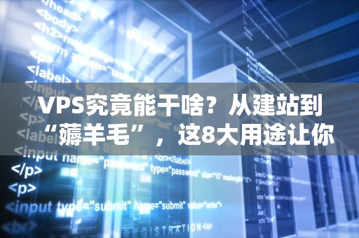 VPS究竟能干啥？从建站到“薅羊毛”，这8大用途让你直呼真香！