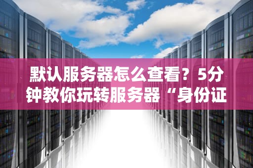 默认服务器怎么查看？5分钟教你玩转服务器“身份证”！（附超实用技巧）