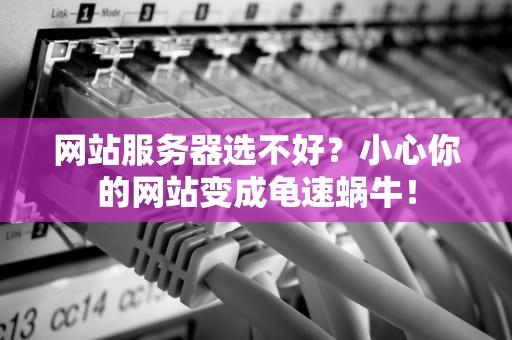 网站服务器选不好？小心你的网站变成龟速蜗牛！