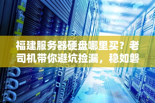 福建服务器硬盘哪里买？老司机带你避坑捡漏，稳如磐石！