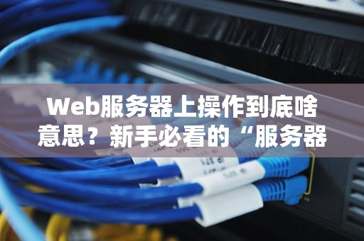 Web服务器上操作到底啥意思？新手必看的“服务器烹饪指南”！