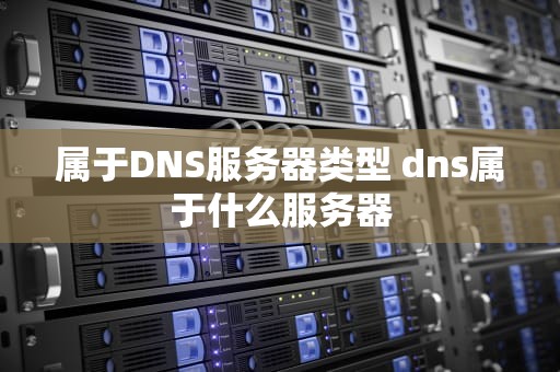属于DNS服务器类型 dns属于什么服务器